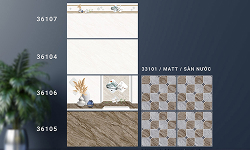 Gạch ốp tường WC