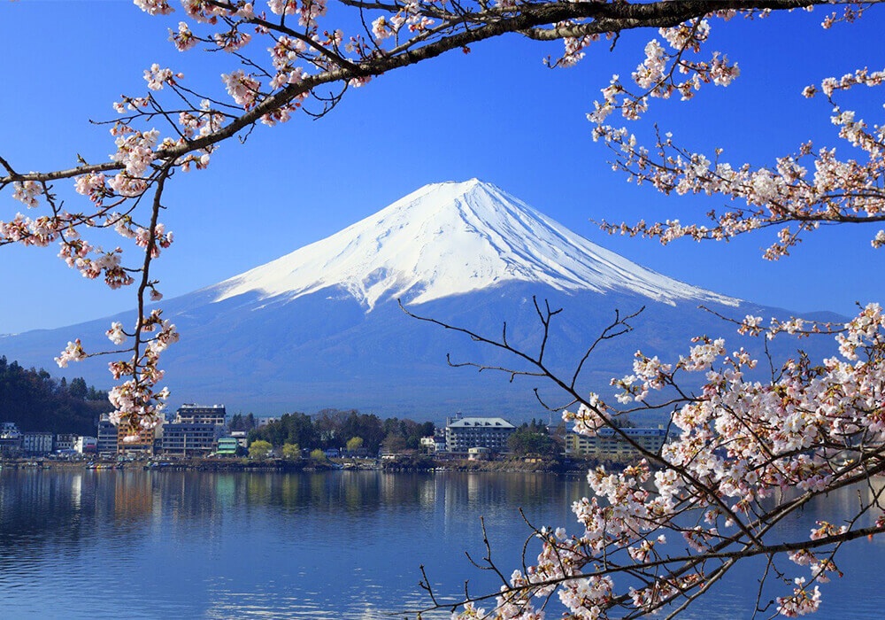 Nhật Bản là một quốc gia có nền văn hoá vô cùng đặc biệt và mang đậm chất thơ